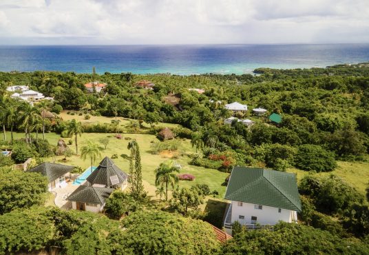 Cabrera Aerial Tropical & Contemporary House
