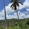 Samana Development Land