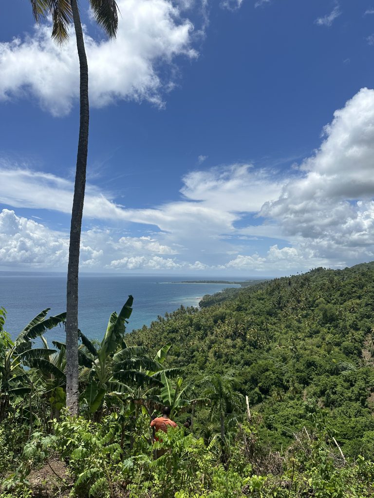 Samana Development Land