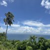 Samana Development Land