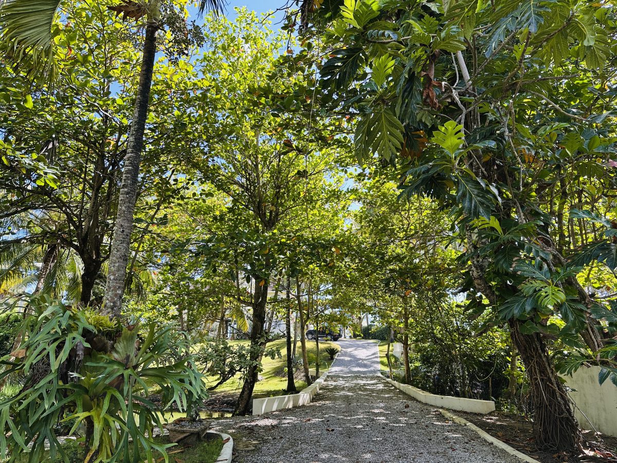 Dominican Republic Beachfront Property