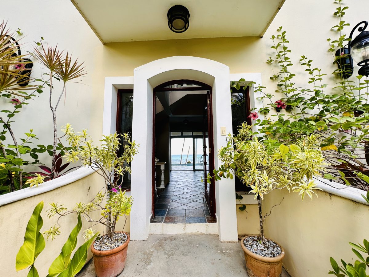 Dominican Republic Beachfront Property