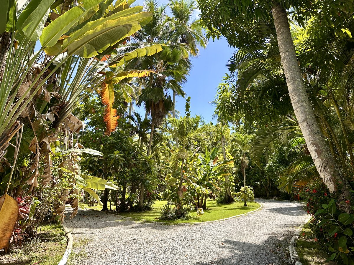 Dominican Republic Beachfront Property