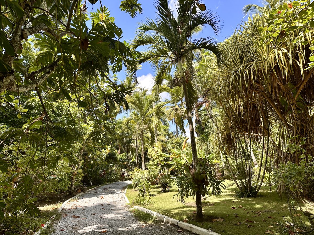 Dominican Republic Beachfront Property