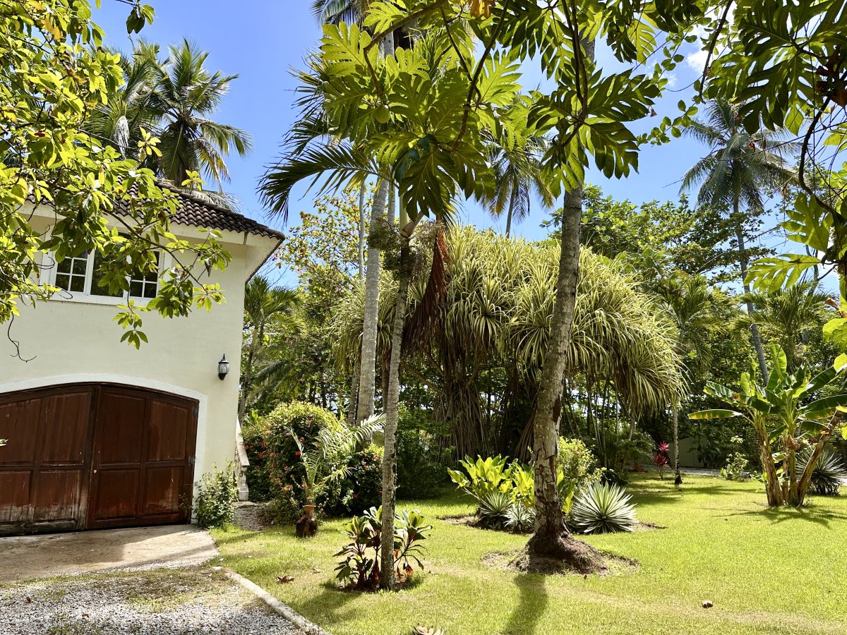 Dominican Republic Beachfront Property