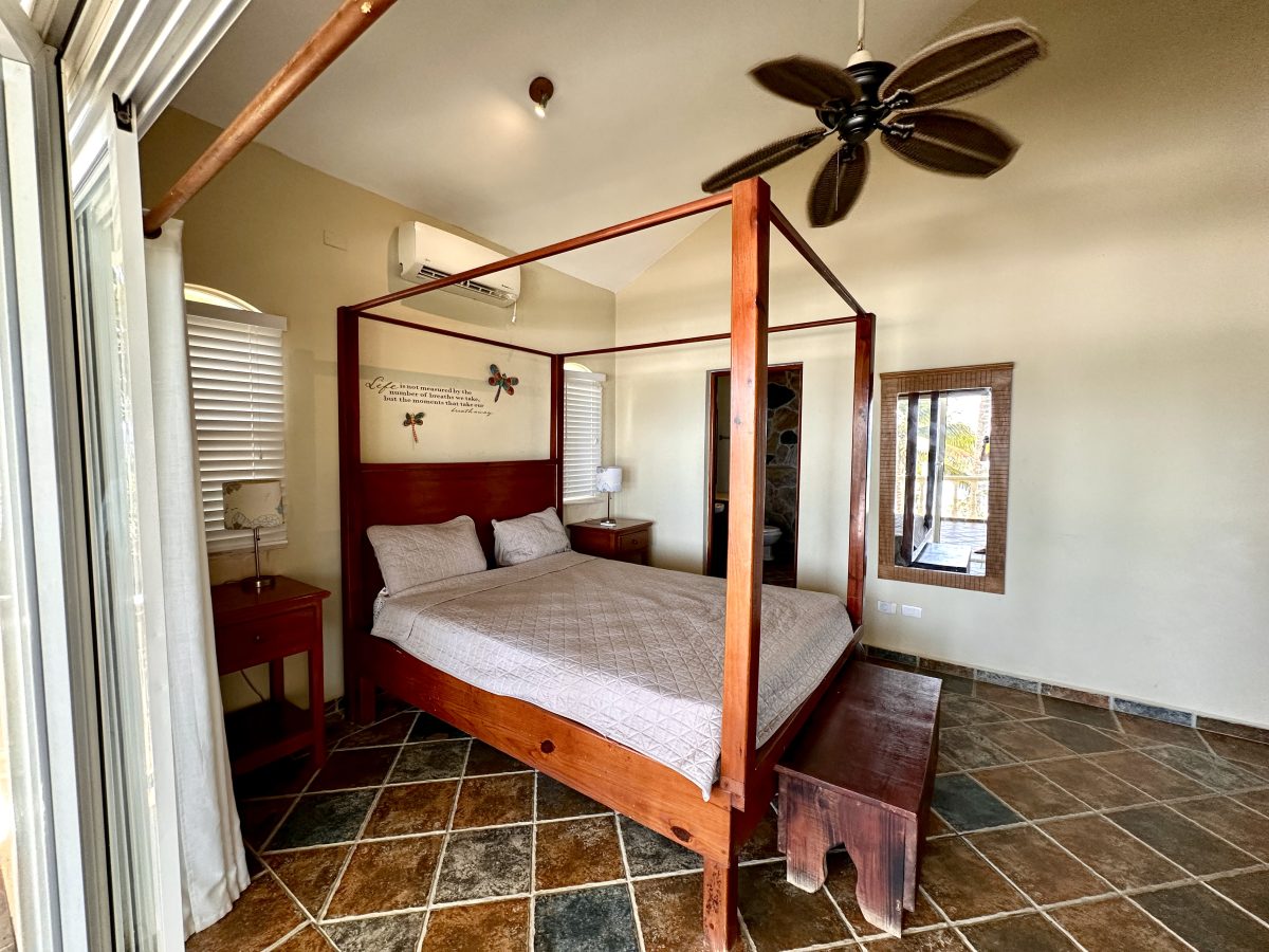 Dominican Republic Beachfront Property