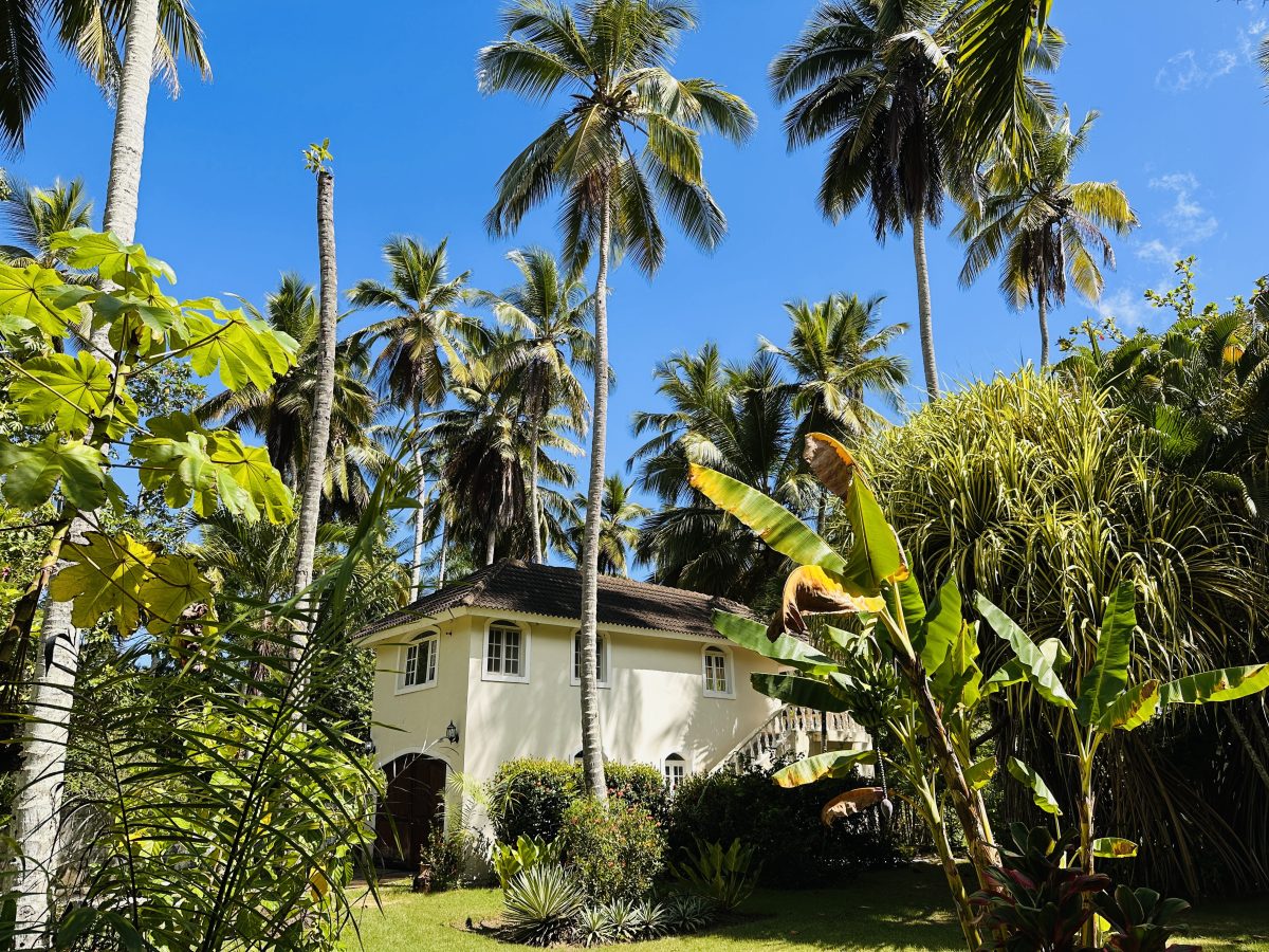 Dominican Republic Beachfront Property