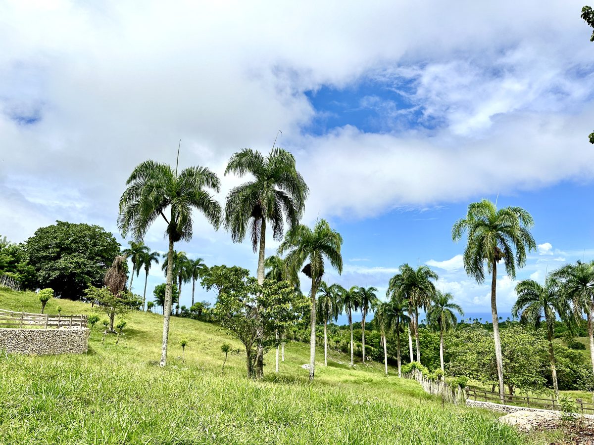 Small Farmhouse in Cabrera, DR